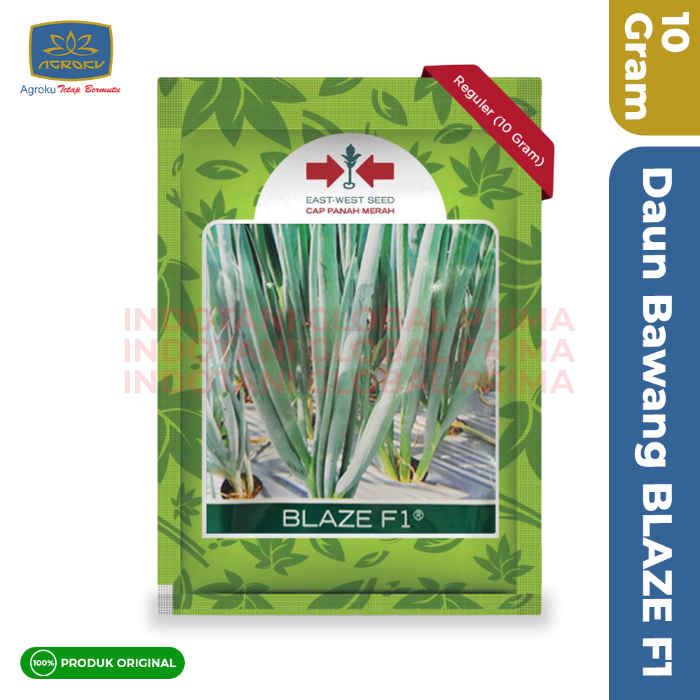 Benih Daun Bawang BLAZE F1 10 Gram - Cap Panah Merah