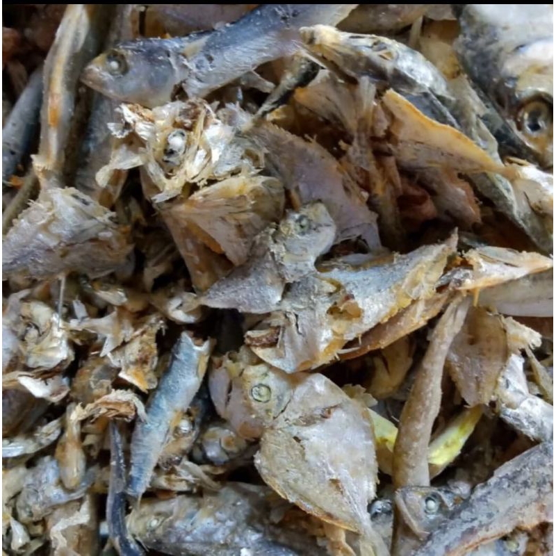 

Ikan campur sepo campur 500gram