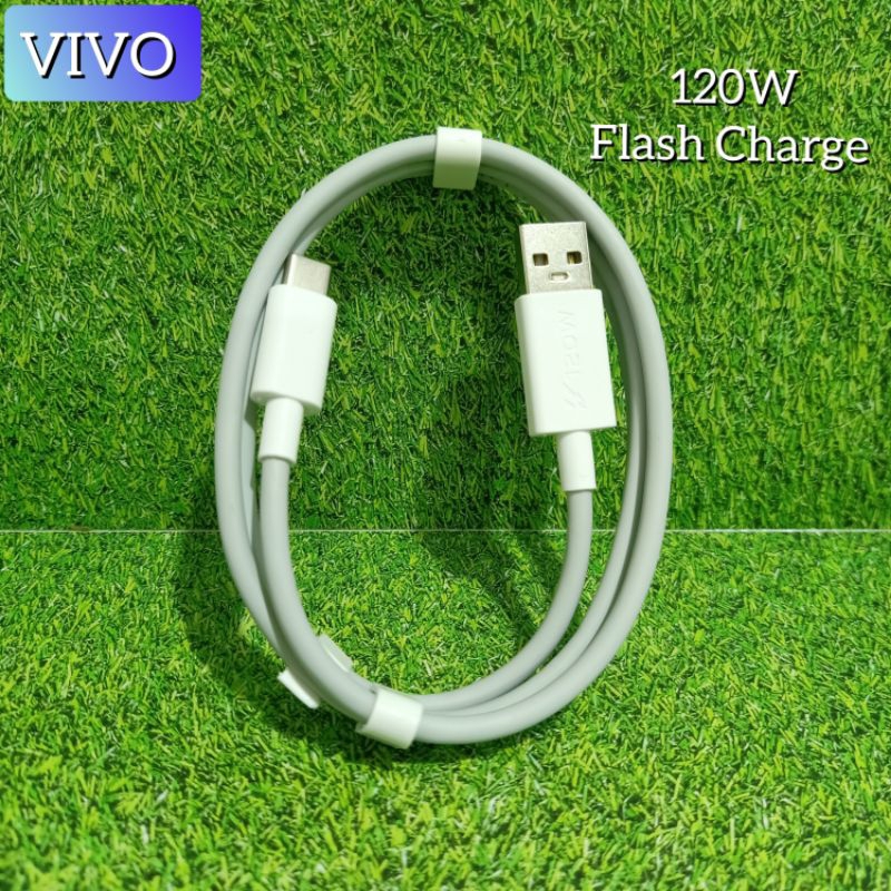 Charger Casan Vivo iQoo 120W Original Flash Charge USB Type C