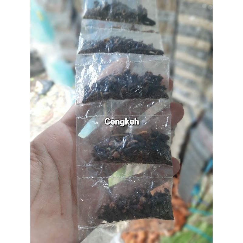 

Cengkeh Rempah rempah cengkeh