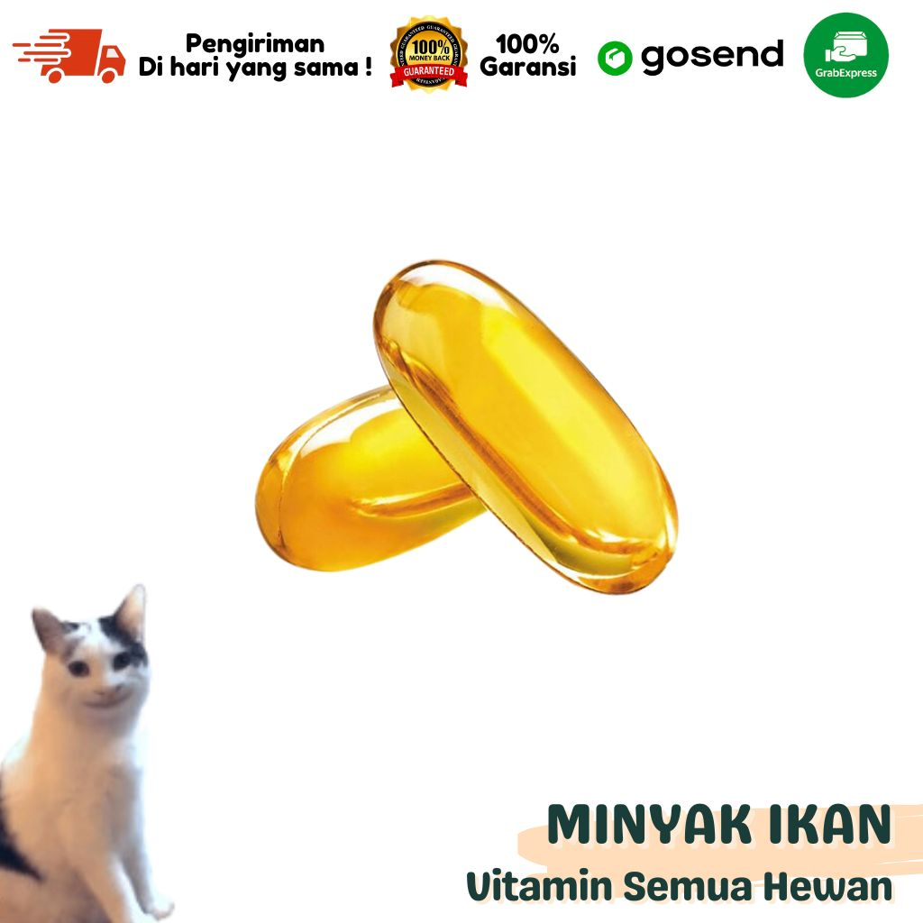 NEW!!! Vitamin Hewan Peliharaan MINYAK IKAN 1 BUTIR Harga Paling Murah