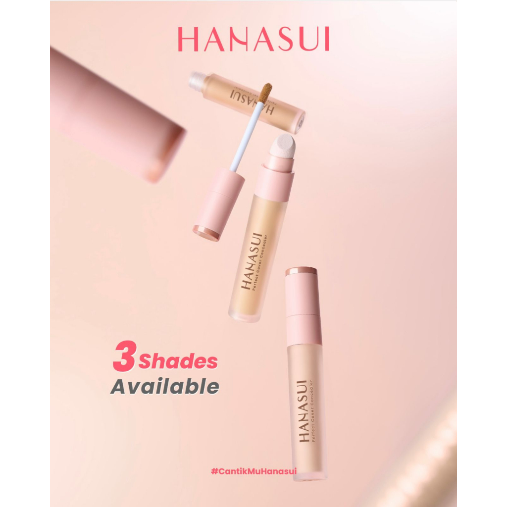 HANASUI PERFECT COVER CONCEALER - COLOR PERFECTION DARK CIRCLE