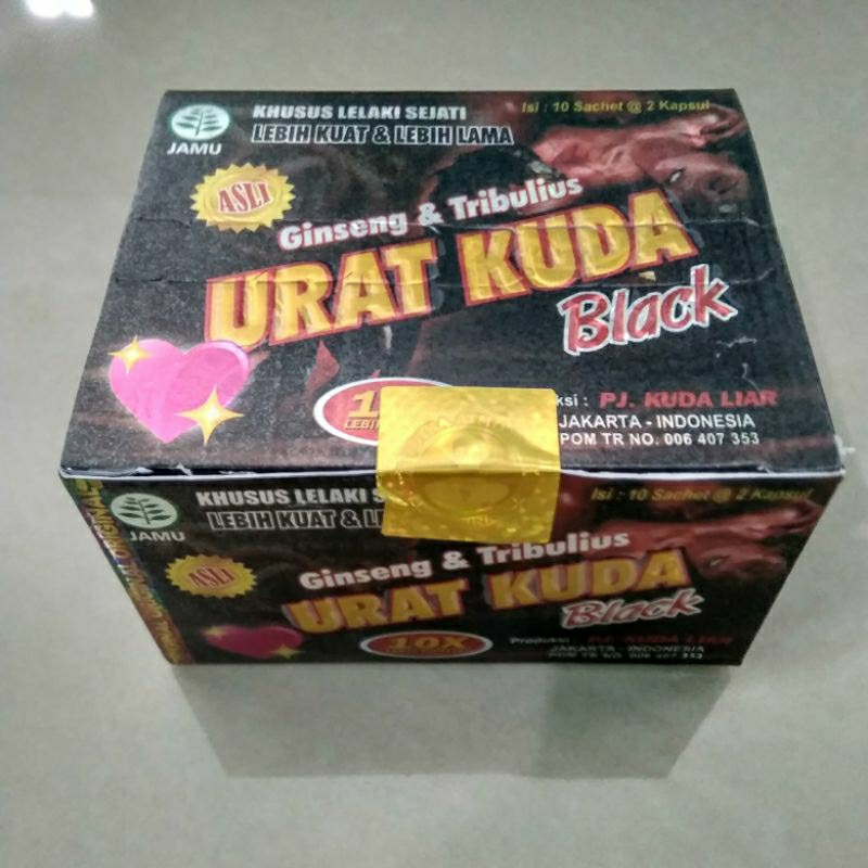 paket 20 Box kapsul herbal urat kuda black