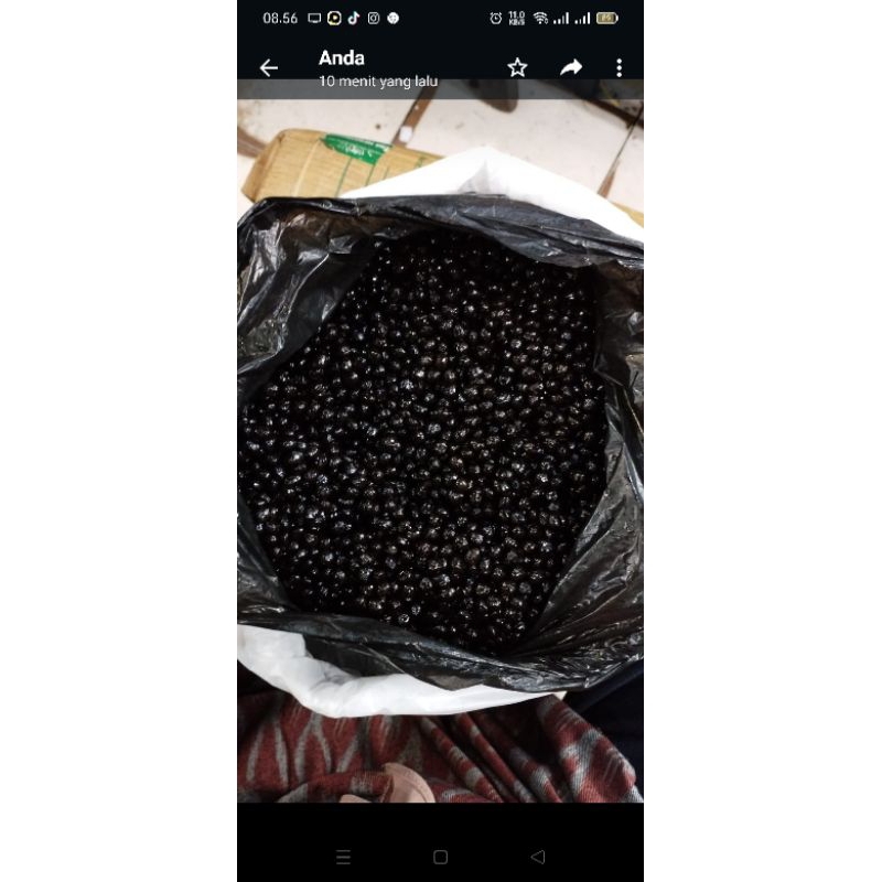 

jamu anti pelakor lengket