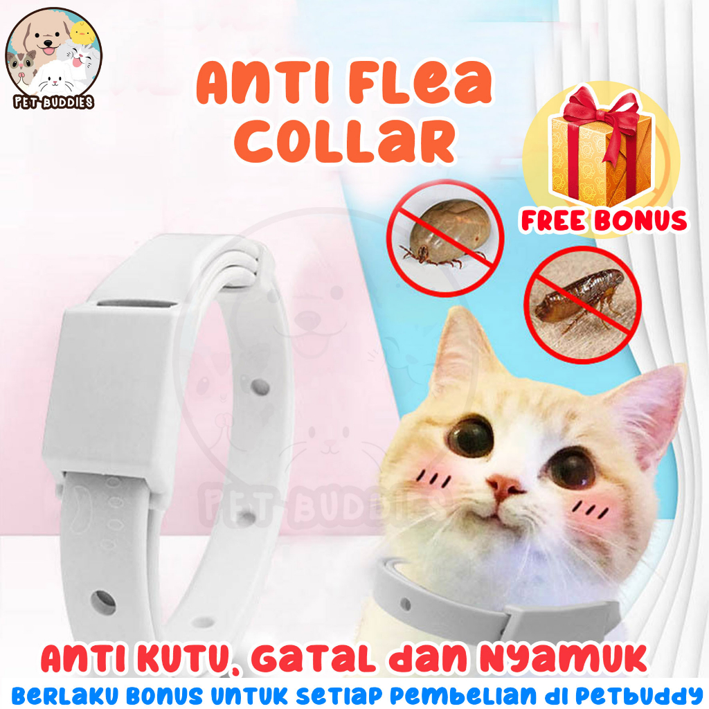 [FREE BONUS]Kalung Anti Kutu Cat Flea and Tick Collar Kucing dan Anjing