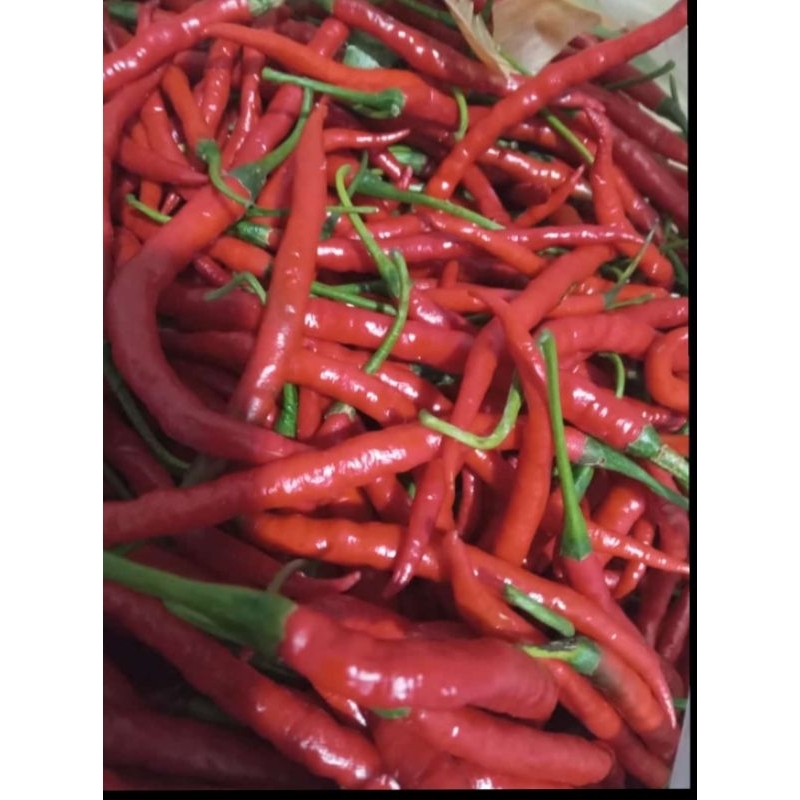 

cabe merah keriting 1/4 instan gosend grab