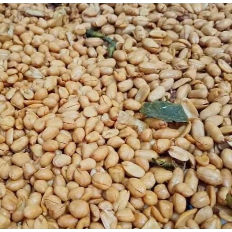 

Kacang Bawang/ Kacang Tojin Premium Berat 500 Gram