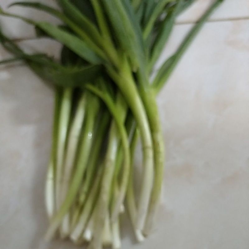 

DAUN PREI BAWANG PRE SEGAR 500gram