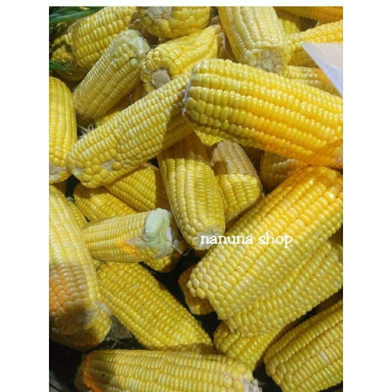 

Jagung manis segar