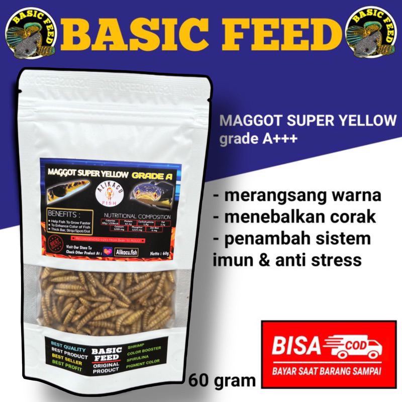 COD maggot bsf super yellow BASIC FEED | pakan ikan | pelet ikan | makanan ikan channa yellow sentar
