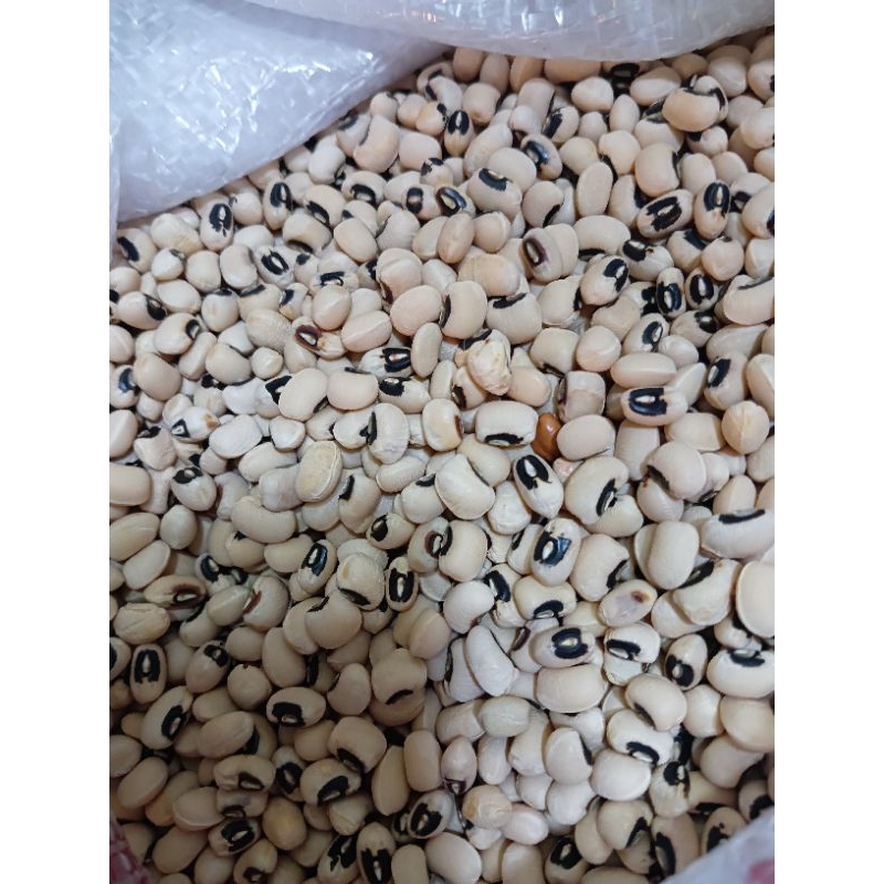 

Kacang Putih Kering || 250gr