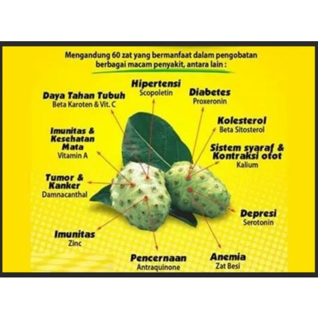 

ANONI FERMENTASI MENGKUDU KEMASAN 5 LITER