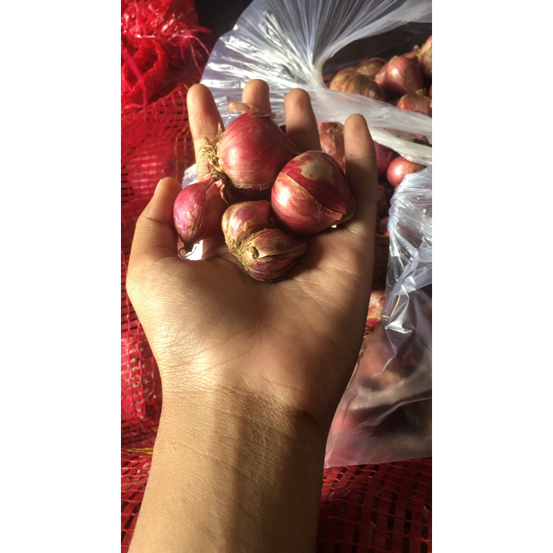 

BAWANG MERAH lokal murah 1/2kg(500g)