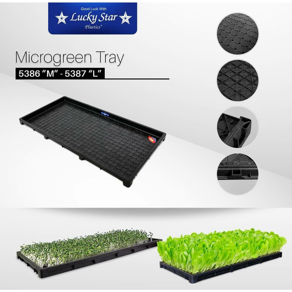 TRAY SEMAI PADI/TRAY MICROGREEN L KODE 5387