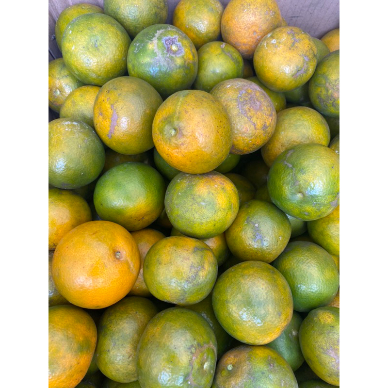 

Jeruk siem madu 1kg