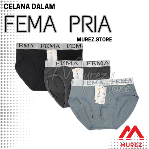 CD COWOK / CELANA DALAM PRIA SEGITIGA FEMA PREMIUM