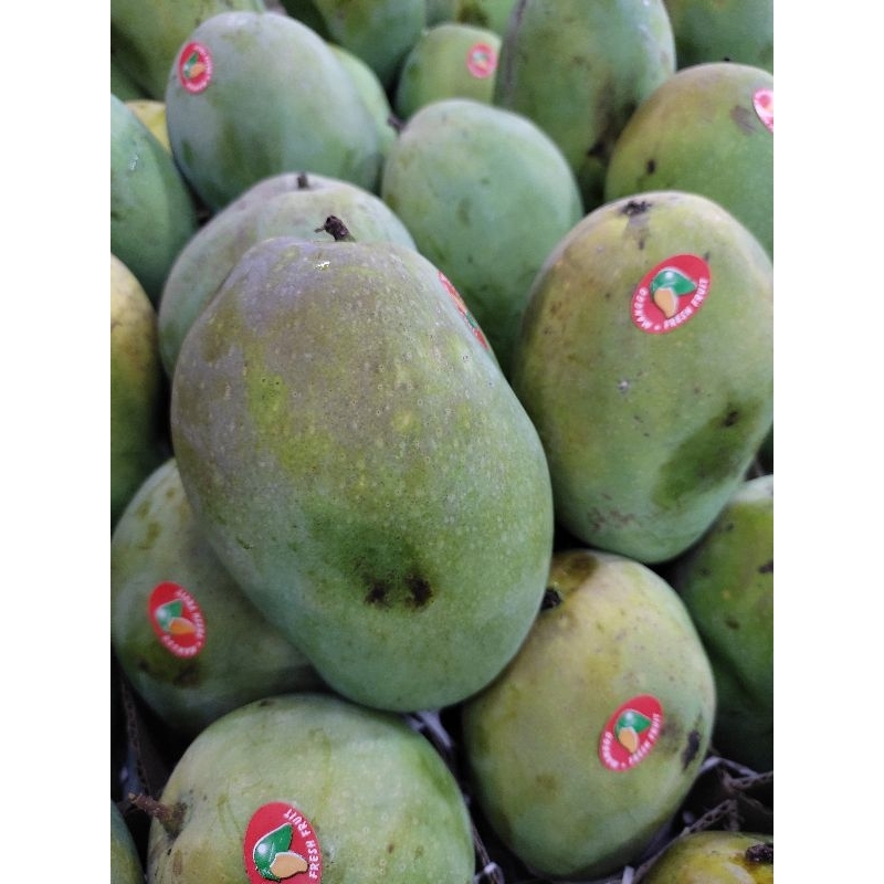 

Mangga Harum Manis Sedang 1kg