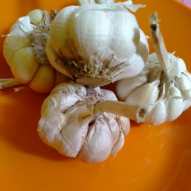 

Bawang putih kg