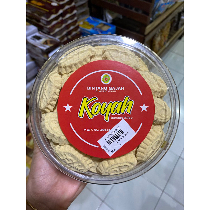 

Koyah “Bintang Gajah”