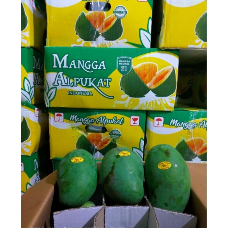 

Mangga Alpukat Tua Pohon manissss - 1 kg