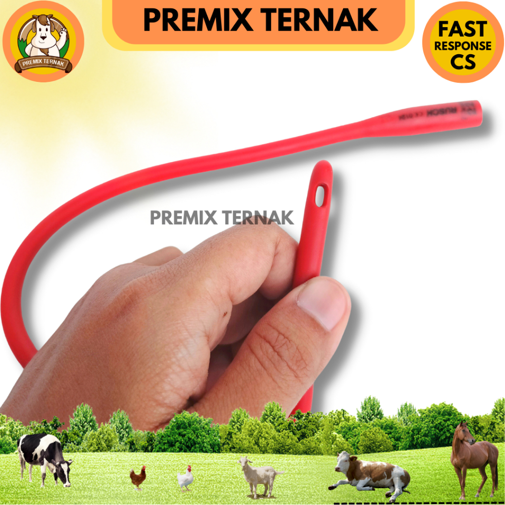 KARET TUBING CEMPE ANAK KAMBING DOMBA - Alat untuk Memasukkan Kolostrum dan susu ke perut cempe