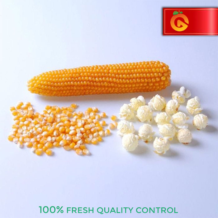 

JAGUNG POPCORN MENTAH 250 GRAM