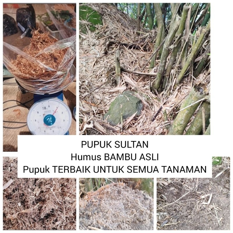 HUMUS BAMBU ASLI,pupuk SULTAN