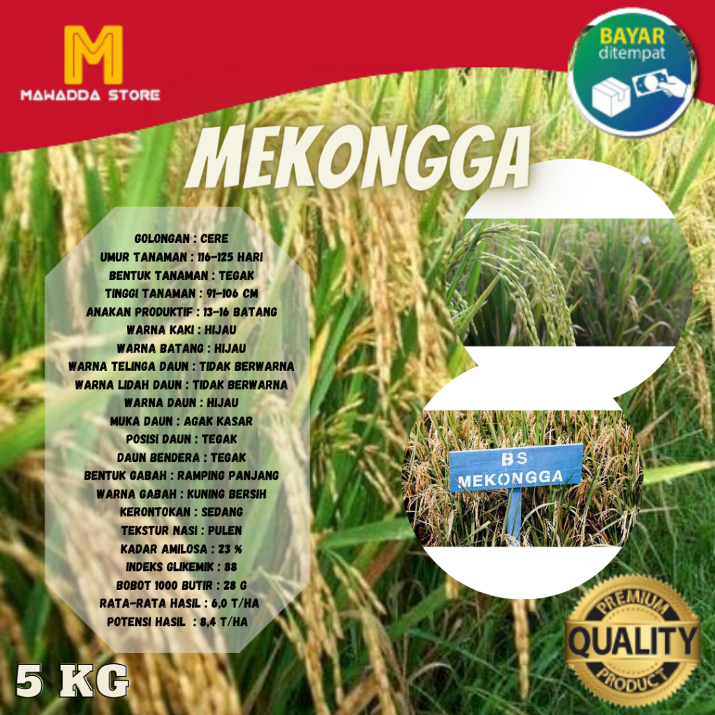 Biji Padi Varietas Mekongga Biji Padi Unggul Kemasan 5kg