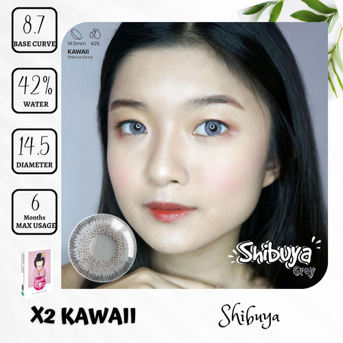 SOFTLENS X2 KAWAII ( SHIBUYA GREY -0.50 S.D -6.00 ) 14.5 MM BY EXOTICON