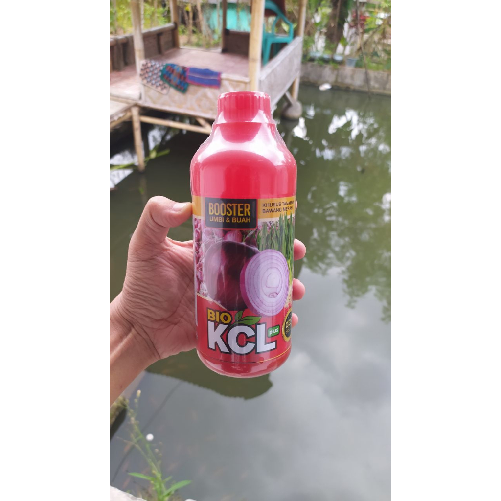 Bio KCL Plus 500ML Pupuk Booster Umbi Bawang Merah Terbaik, Pupuk Penyubur Bawang Merah Paling Bagus Melindungi Batang dan Daun dari Pembusukan, Obat Semprot agar Batang dan Daun Bawang Merah Tidak Busuk, Obat Anti Busuk Bawang Merah