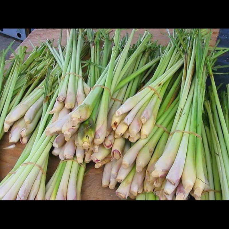 

Serai untuk bumbu dapur 250gr harga murah asli dari kampung