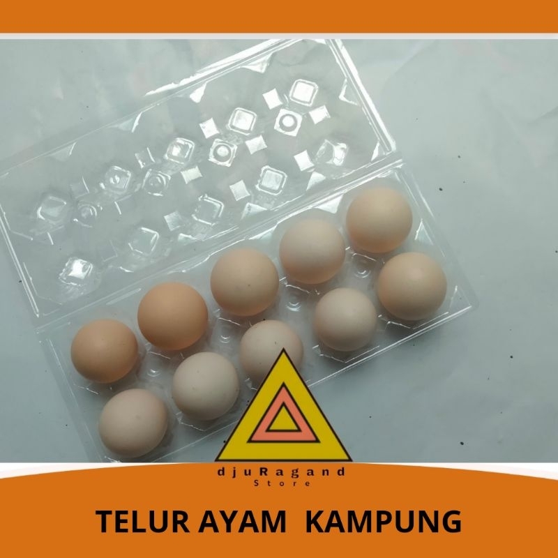 

Telur Ayam kampung per butir