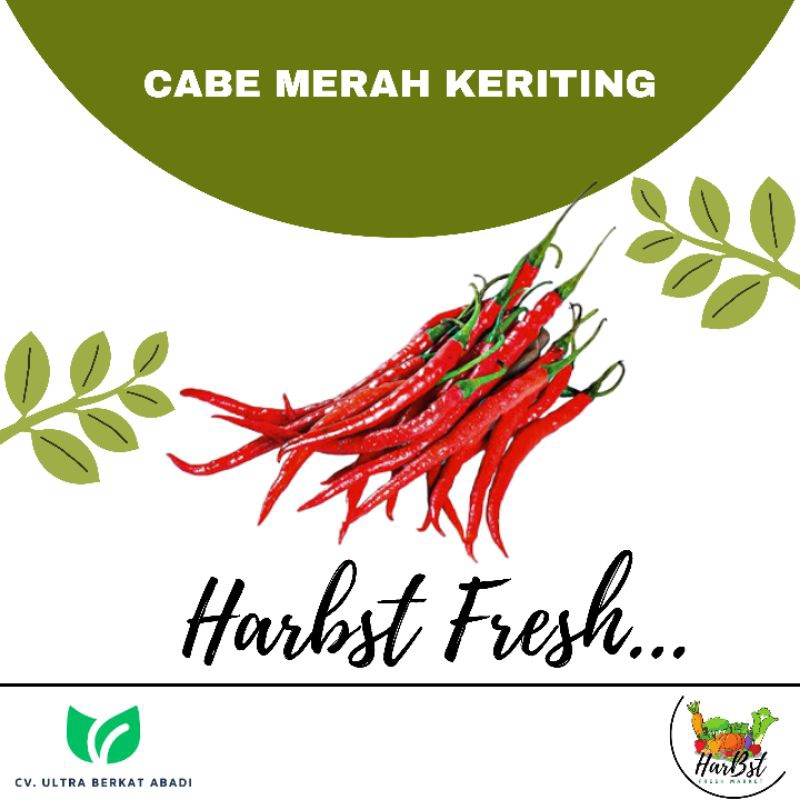 

CABE MERAH KERITING 500gr