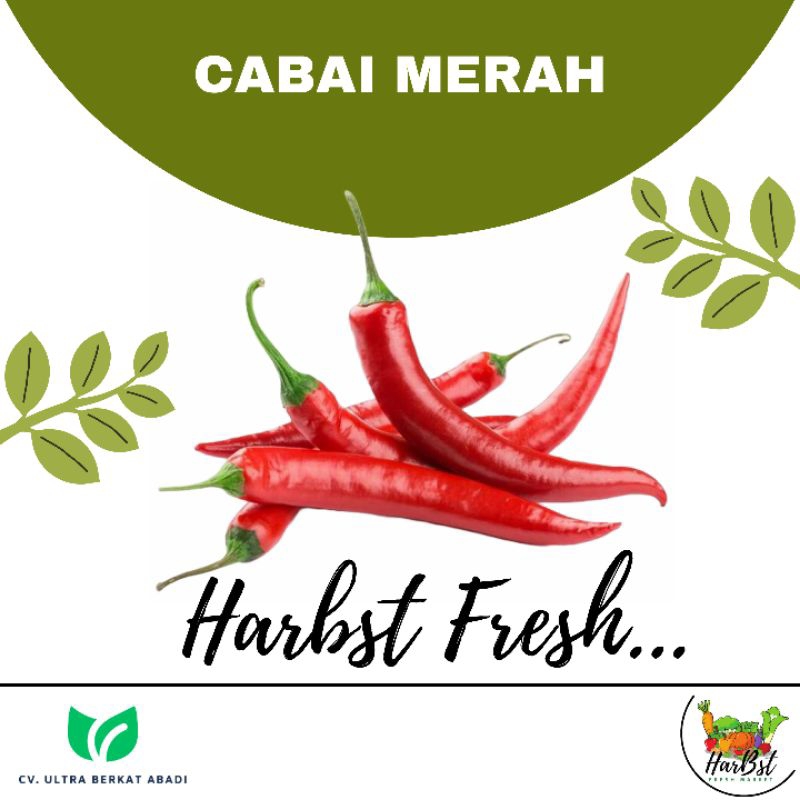 

CABAI MERAH BESAR / CABE / CABE-CABEAN