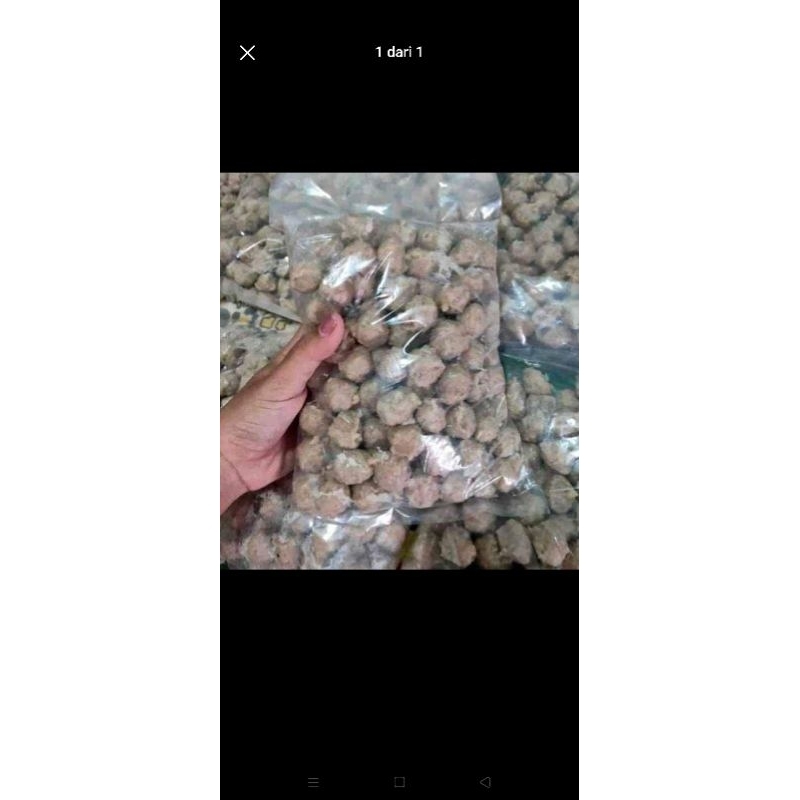 

PENTOL MADURA
