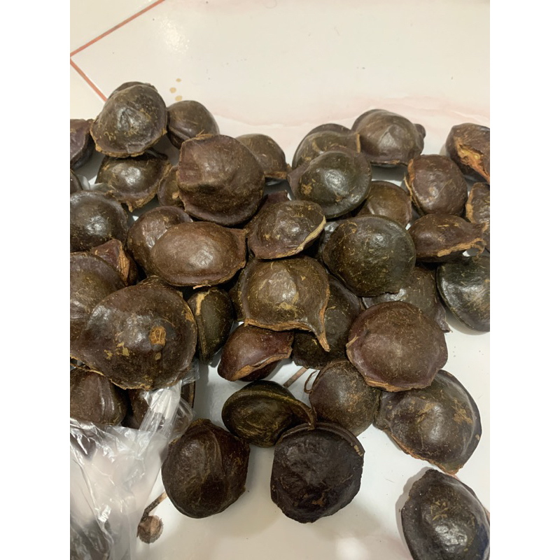 

jengkol