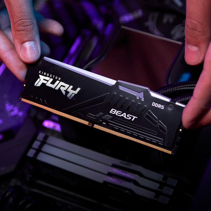 KINGSTON FURY BEAST RGB EXPO DDR5 16GB 1x16GB 5600MHz KF556C36BBEA-16