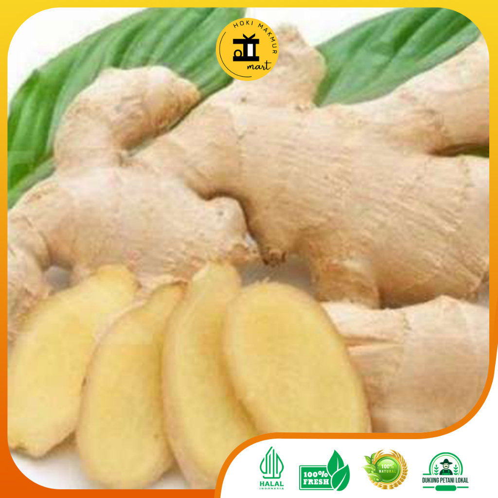 

KENCUR PREMIUM 500 GR - 1 KG | KENCUR