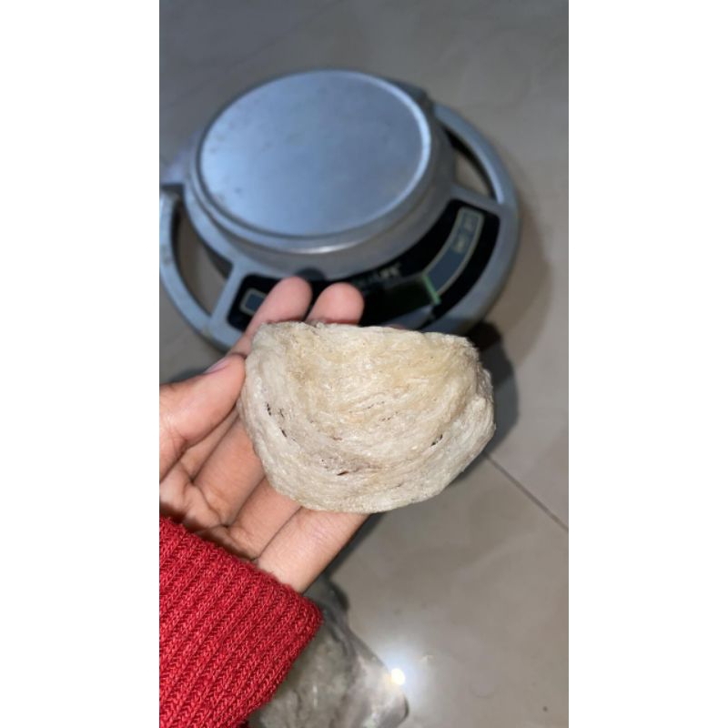 

Sarang walet Utuh Bersih harga per pcs