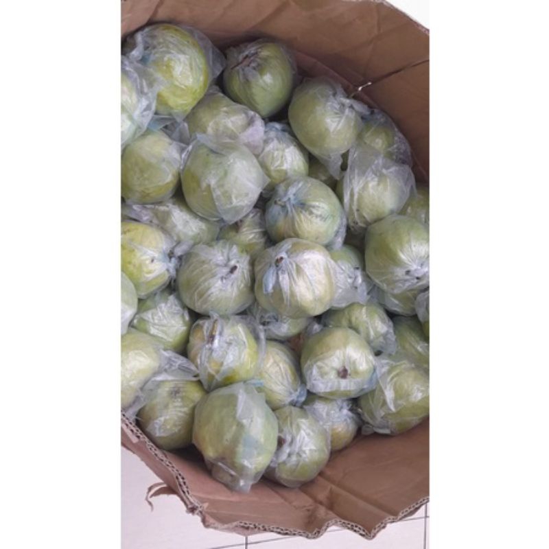 

Buah Jambu Kristal Fresh 1kg