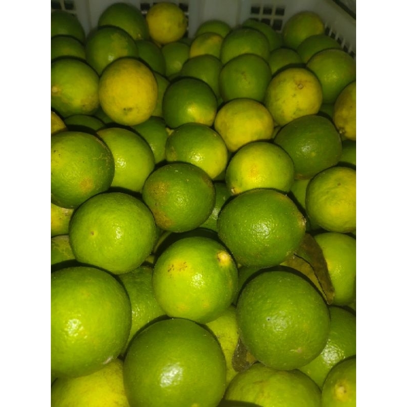 

Jeruk Nipis 1kg