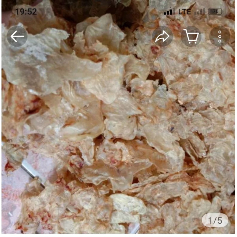 

Kerupuk Gelembung Ikan Mentah Ikan Manyung /100gm