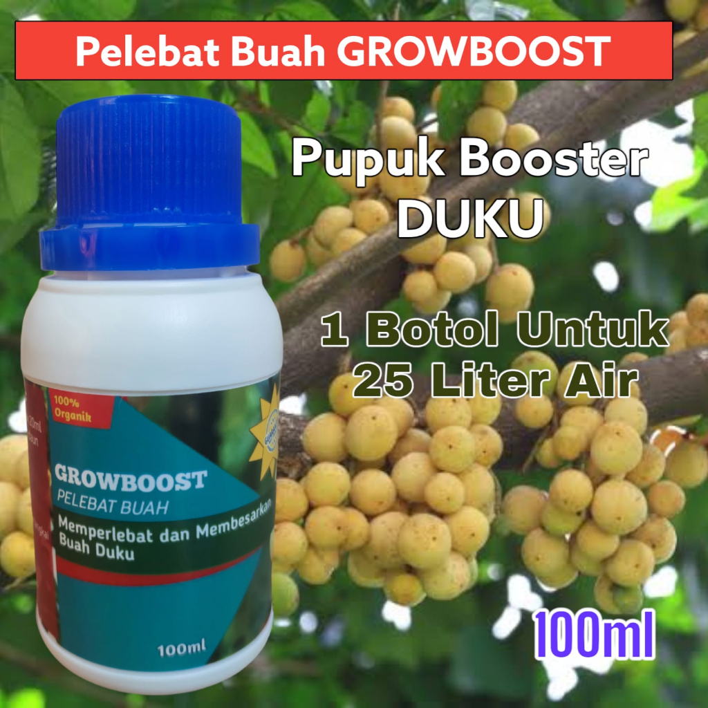 Pupuk Buah Duku Premium Organik GrowBoost Buah Duku 100ml