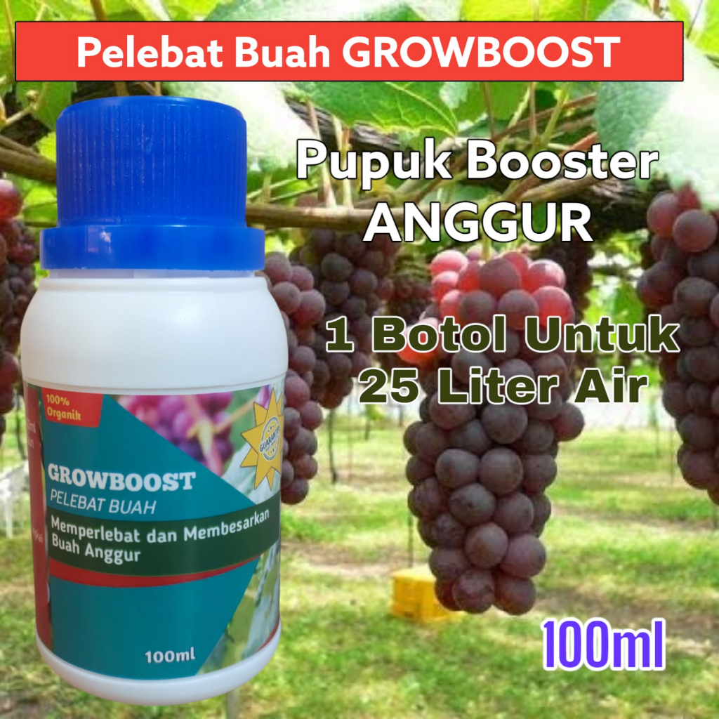 Pupuk Buah Anggur Premium Organik GrowBoost Buah Anggur 100ml