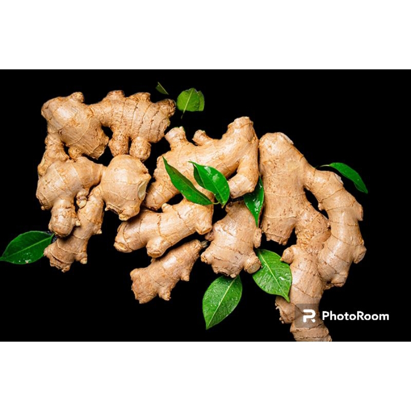 

Jahe 500 gr