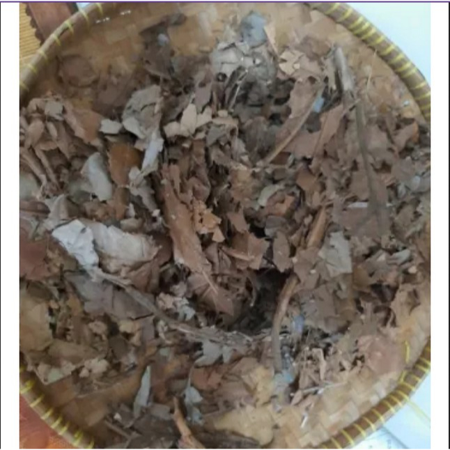 

DAUN SUKUN KERING / Daun sukun kering herbal kesehatan tubuh