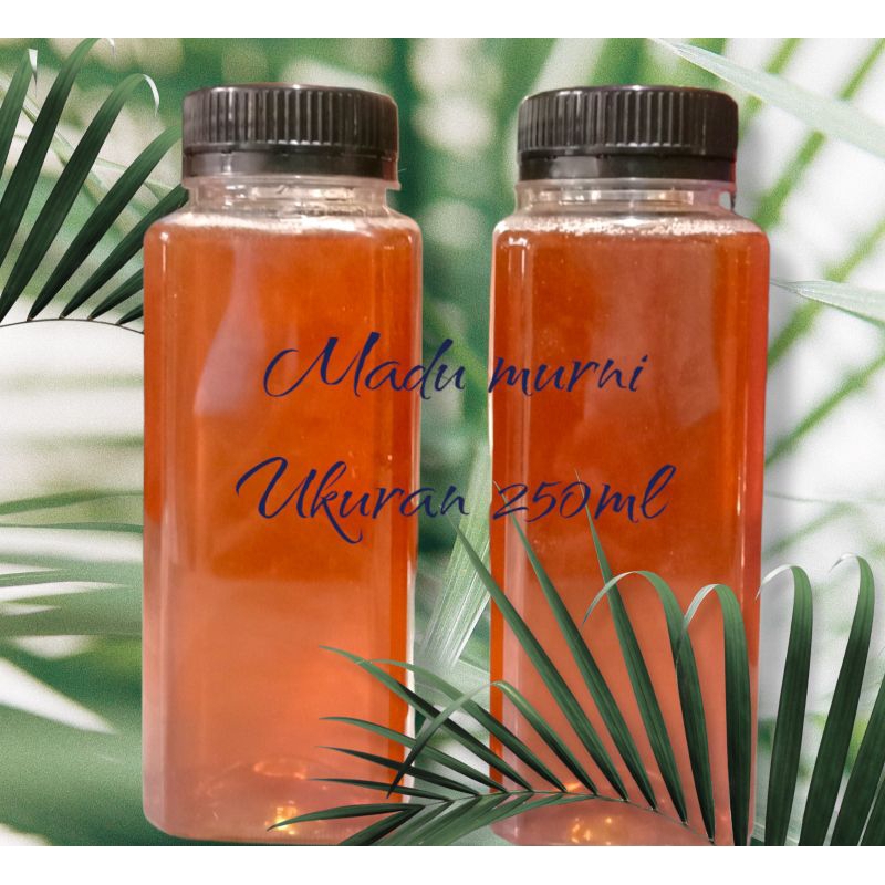 

madu hutan asli kalimantan