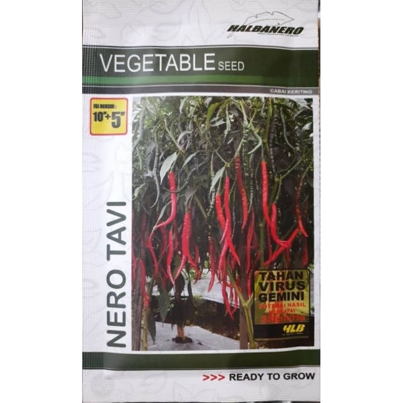 Benih Cabe keriting NERO TAVI - Bibit Cabe keriting NERO TAVI Isi 10 gr ± 1.950 butir