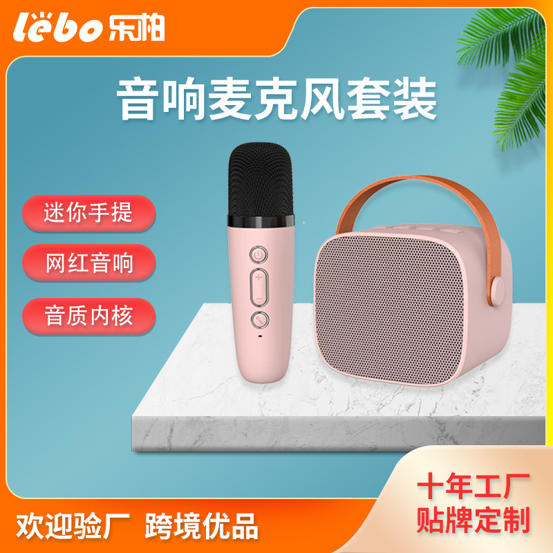Portable Bluetooth karaoke sound system with microphone, split type sound microphone, children's small family KTV  Integrated set