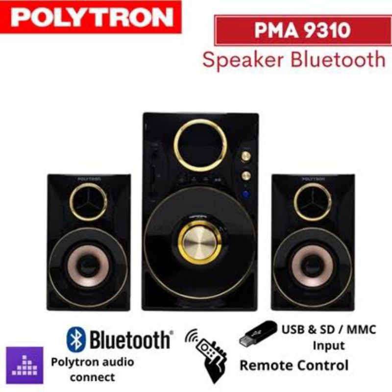 POLYTRON SPIKER AKTIF PMA-9310/BG